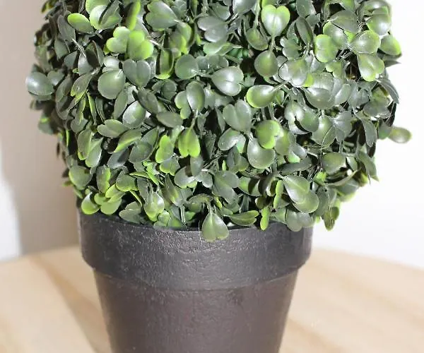 L'instant T 4* Balneo, Sauna Et Parking Prive Apartment